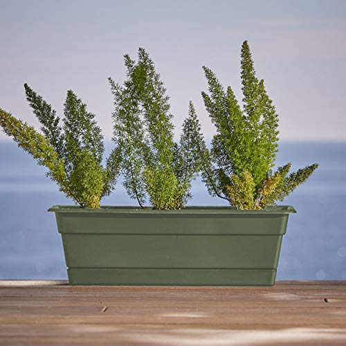 Bloem DCBT24-42 Dura Cotta Plant Window Box, 24-Inch, Living Green