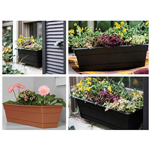 Bloem DCBT24-42 Dura Cotta Plant Window Box, 24-Inch, Living Green