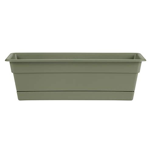 Bloem DCBT24-42 Dura Cotta Plant Window Box, 24-Inch, Living Green