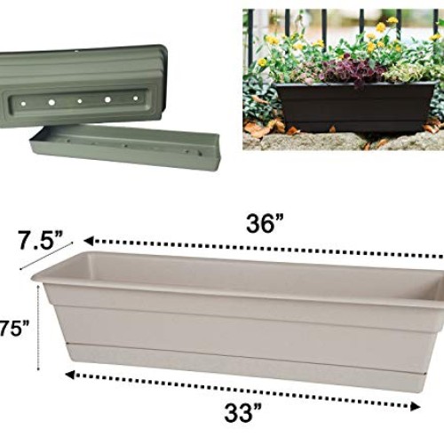 Bloem DCBT24-45 Series Saturn Planter with Saucer, 12, Chocolate ...