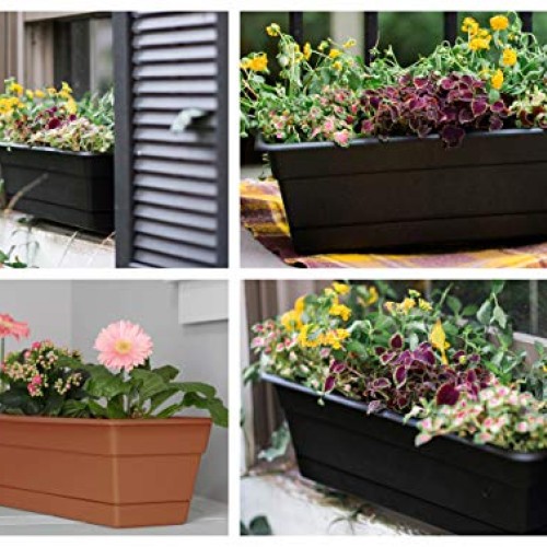 Bloem DCBT24-45 Series Saturn Planter with Saucer, 12, Chocolate ...