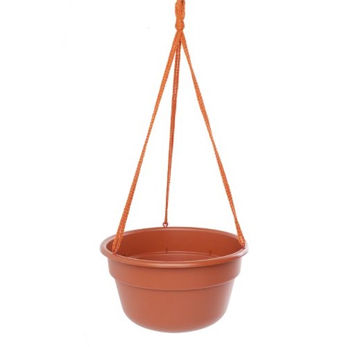 Bloem DCHB12-46 Dura Cotta Hanging Basket/Planter, 12-Inch, Terra ...