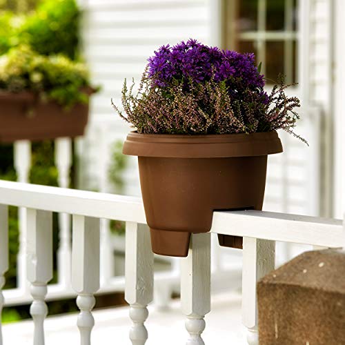 Bloem Deck Balcony Rail Planter 477125-1001, Chocolate Brown, 12