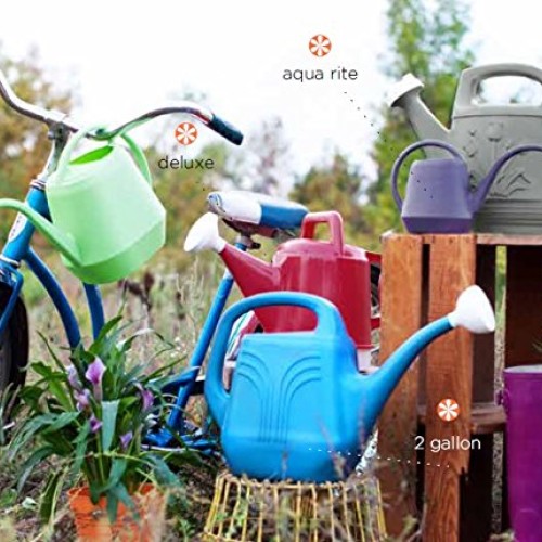 Bloem Deluxe Watering Can, 2.5 Gallon, Calypso DWC2-27