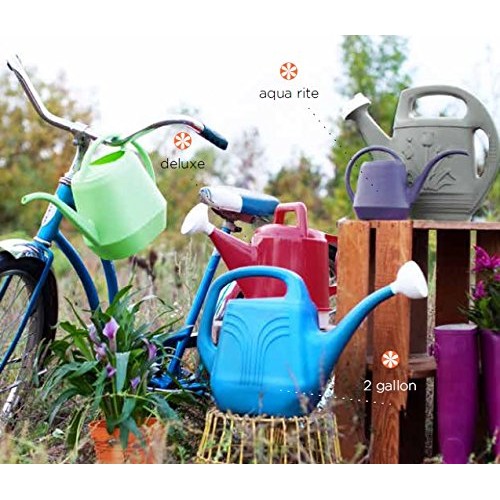 Bloem Deluxe Watering Can, 2.5 Gallon, Calypso DWC2-27
