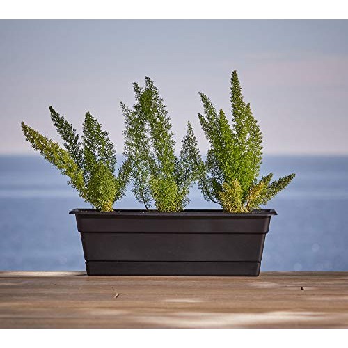 Bloem Dura Cotta Window Box Planter w/Tray, 18, Chocolate DCBT18...