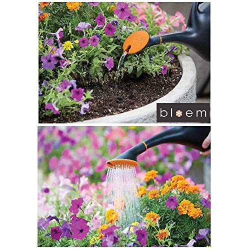 Bloem Easy Pour Watering Can, 2.6 Gallon, Black 20-47287CP 2.6 ...