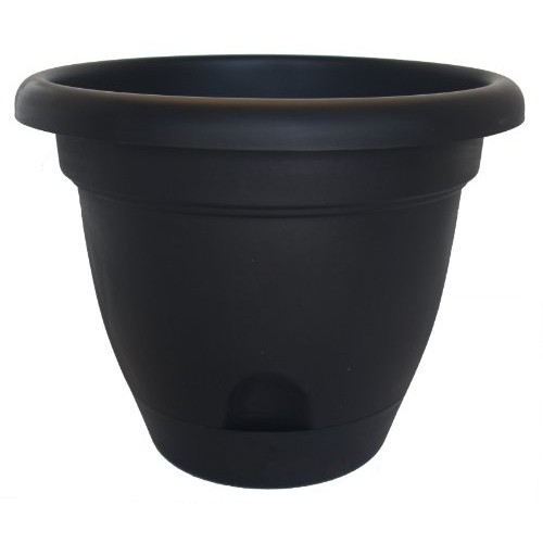 Bloem LP1000 Lucca Self Watering Planter, 10-Inch, Black