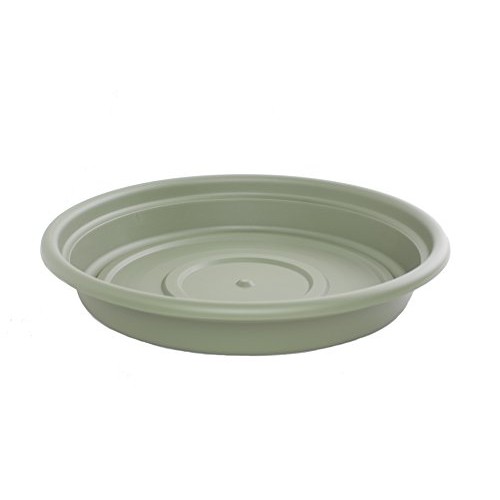 Bloem SDC16-42 Dura Cotta Plant Saucer, 16-Inch, Living Green