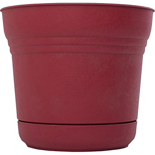 Bloem SP0712 Saturn Planter, 7-Inch, Union Red