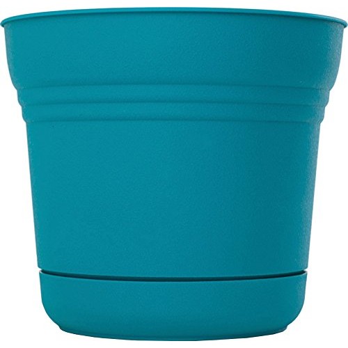 Bloem SP1232 Saturn Planter, 12-Inch, Sea-Struck