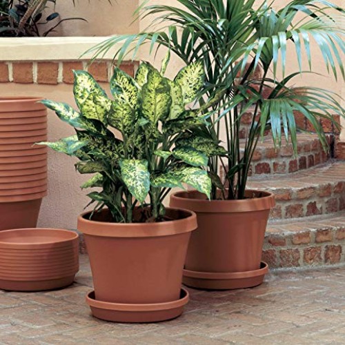 Bloem Terra Plant Saucer Tray 13 Taupe