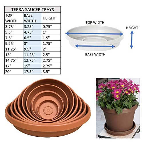 Bloem Terra Plant Saucer Tray 13 Taupe