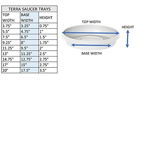 Bloem Terra Plant Saucer Tray 17 Living Green