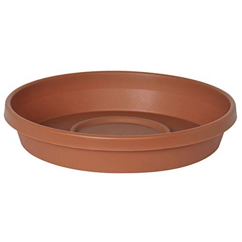 Bloem Terra Plant Saucer Tray for Planters 51020C, Terra Cotta, 20