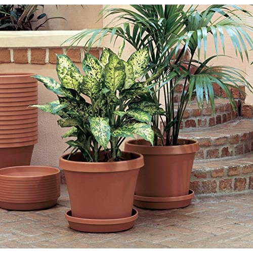 Bloem Terra Plant Saucer Tray for Planters 51414, Living Green, 14