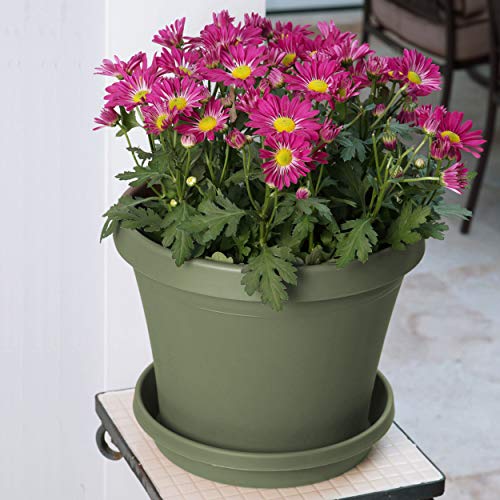 Bloem Terra Pot Planter 12 Living Green