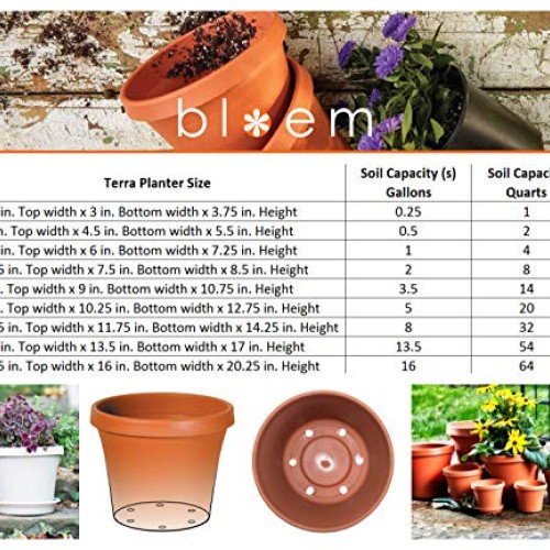 Bloem Terra Pot Planter 12 Living Green