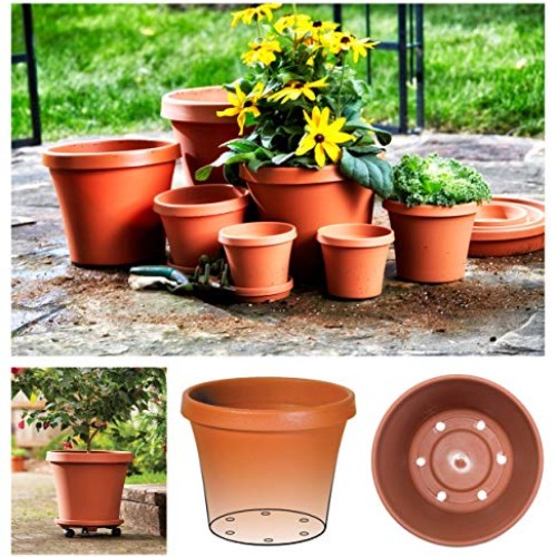 Bloem Terra Pot Planter 12 Living Green