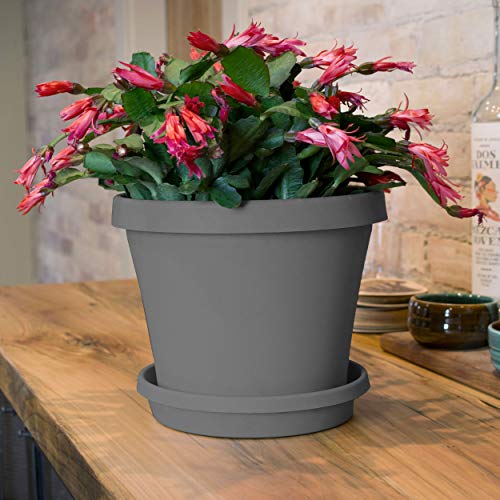 Bloem Terra Pot Planter TR06908, Charcoal Gray, 6, 6