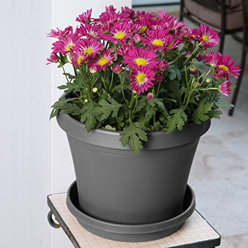 Bloem Terra Pot Planter TR06908, Charcoal Gray, 6, 6