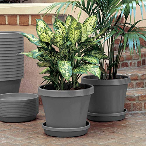 Bloem Terra Pot Planter TR06908, Charcoal Gray, 6, 6