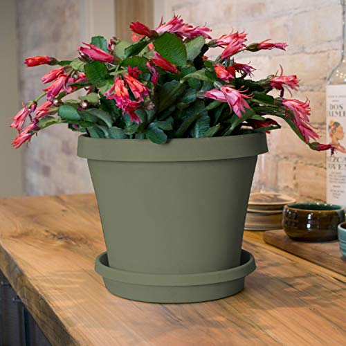 Bloem TR2083 Terra Pot Planter 20 Pebble Stone
