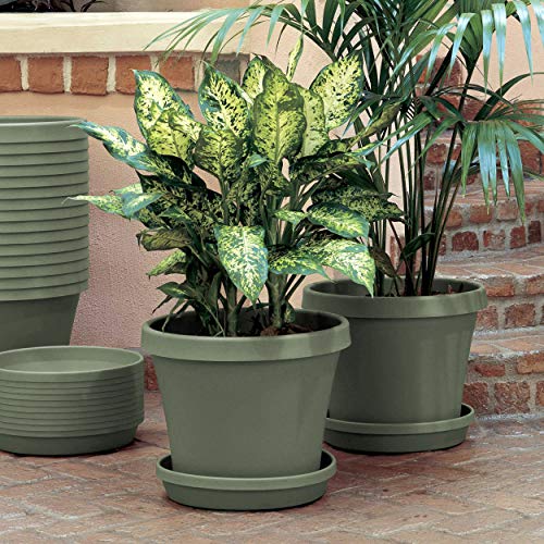 Bloem TR2083 Terra Pot Planter 20 Pebble Stone
