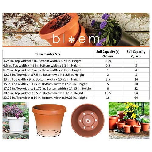 Bloem TR2083 Terra Pot Planter 20 Pebble Stone