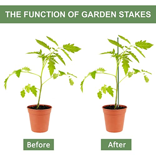 Bloomarea 5 FT Garden Stakes 60 Inch Plant Stakes, Tomato Stakes, ...