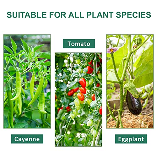 Bloomarea 5 FT Garden Stakes 60 Inch Plant Stakes, Tomato Stakes, ...
