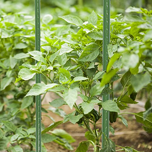 Bloomarea 5 FT Garden Stakes 60 Inch Plant Stakes, Tomato Stakes, ...