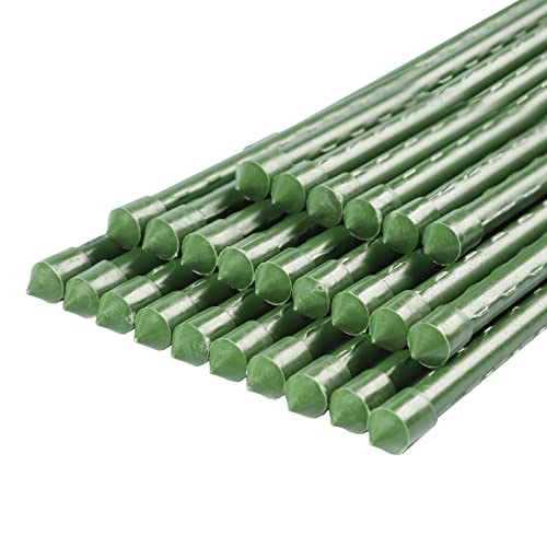 Bloomarea 5 FT Garden Stakes 60 Inch Plant Stakes, Tomato Stakes, ...