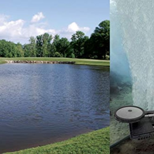 Blue Diamond Pumps DS2 Air Diffuser Station, This Aerator Will Oxy...