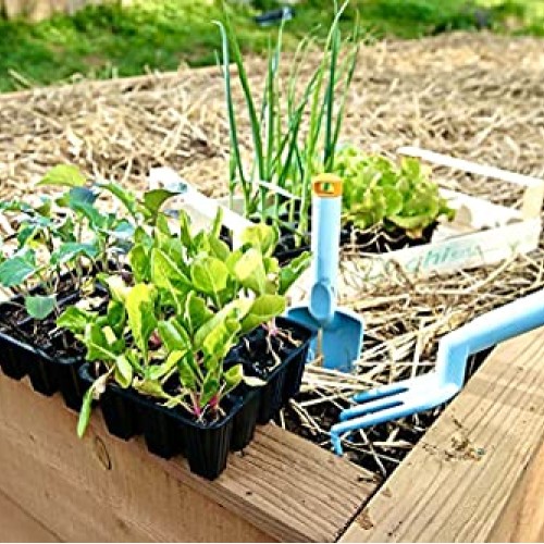 Blue Mountain Hay 100% Organic Garden Straw Mulch 10 lb. for Rai...