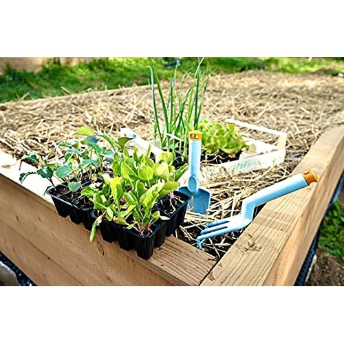 Blue Mountain Hay 100% Organic Garden Straw Mulch 10 lb. for Rai...