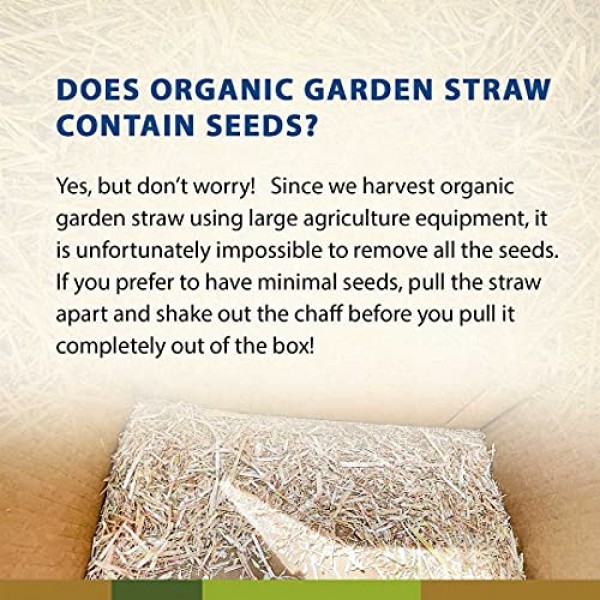 Blue Mountain Hay 100% Organic Garden Straw Mulch 10 lb. for Rai...