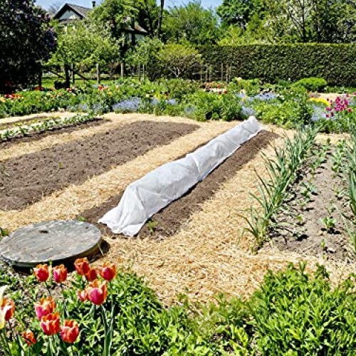 Blue Mountain Hay 100% Organic Garden Straw Mulch 10 lb. for Rai...