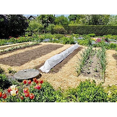 Blue Mountain Hay 100% Organic Garden Straw Mulch 10 lb. for Rai...
