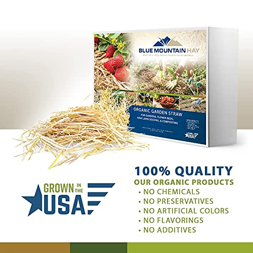Blue Mountain Hay 100% Organic Garden Straw Mulch 10 lb. for Rai...