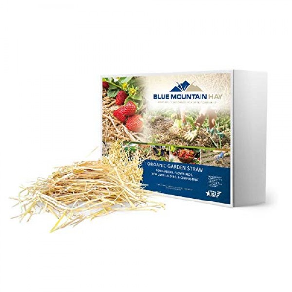 Blue Mountain Hay 100% Organic Garden Straw Mulch 10 lb. for Rai...