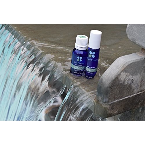 BlueFlower Eucalyptus Essential Oil Roller - 10ml