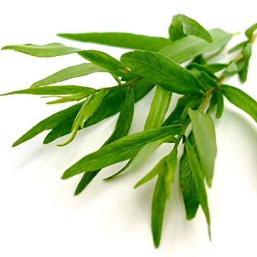 BlueFlower Eucalyptus Essential Oil Roller - 10ml