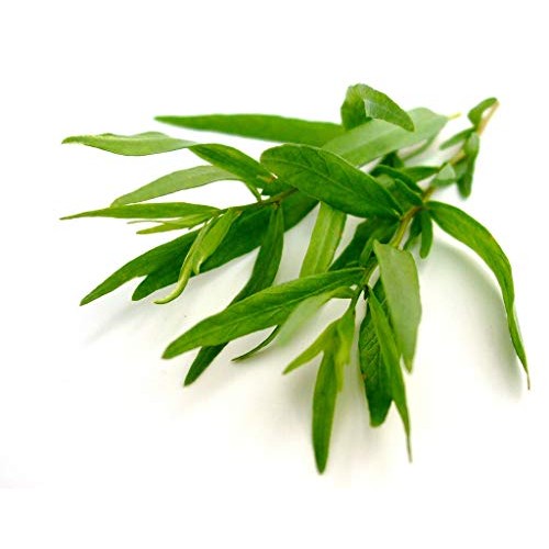 BlueFlower Eucalyptus Essential Oil Roller - 10ml