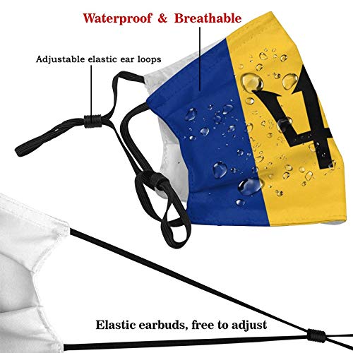 Bluestar Barbados Flag Reusable Face Mask Balaclava Washable Outdo...