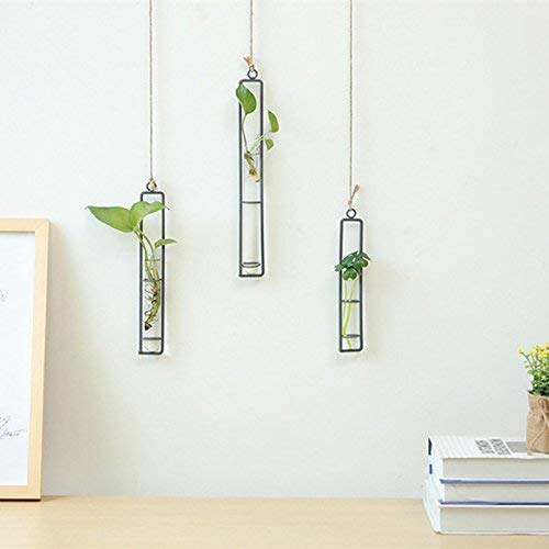 Hanging Glass Planter Water Iron Art Hydroponic Vase Transparent T...