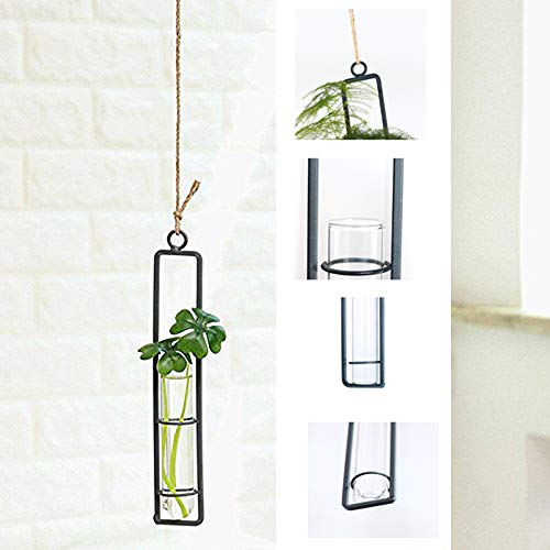 Hanging Glass Planter Water Iron Art Hydroponic Vase Transparent T...