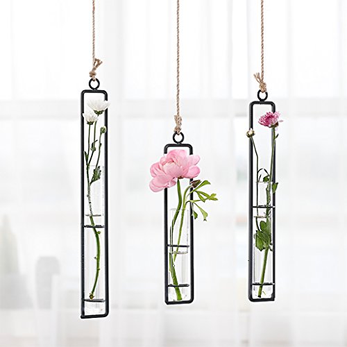 Hanging Glass Planter Water Iron Art Hydroponic Vase Transparent T...