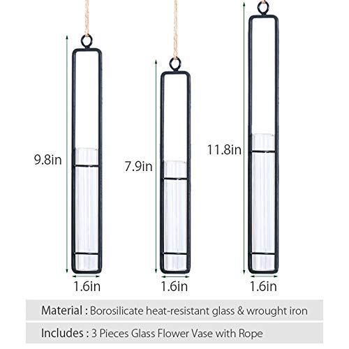 Hanging Glass Planter Water Iron Art Hydroponic Vase Transparent T...