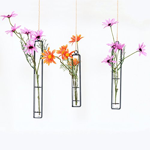 Hanging Glass Planter Water Iron Art Hydroponic Vase Transparent T...